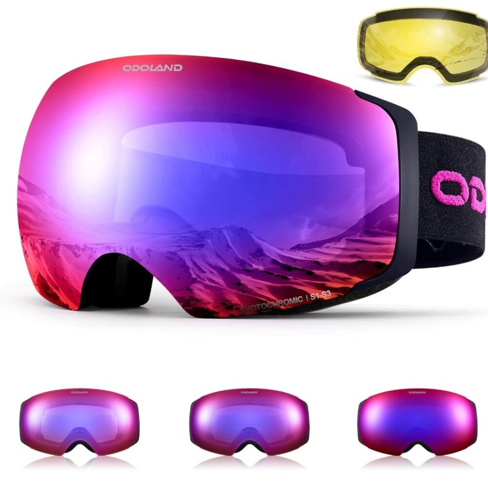 Interchangeable with 2 Lens Ski Goggles